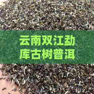 云南双江勐库古树普洱茶：一款独具特色的茶叶之旅