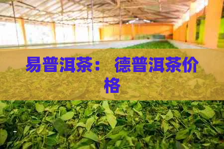 易普洱茶： 德普洱茶价格