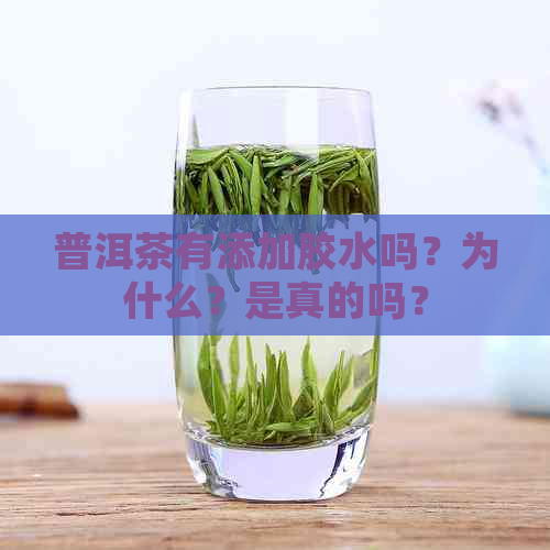 普洱茶有添加胶水吗？为什么？是真的吗？