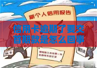 信用卡逾期了要交首期款是怎么回事