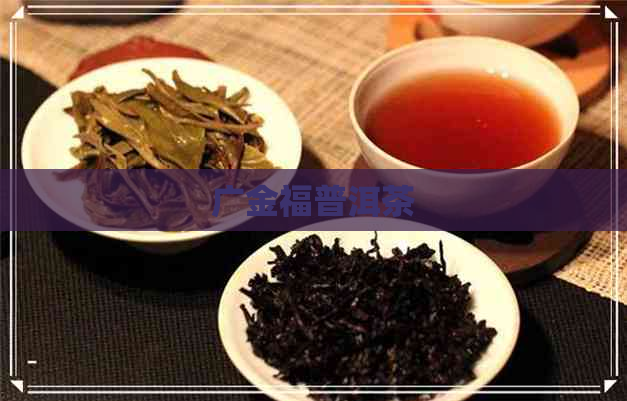 广金福普洱茶