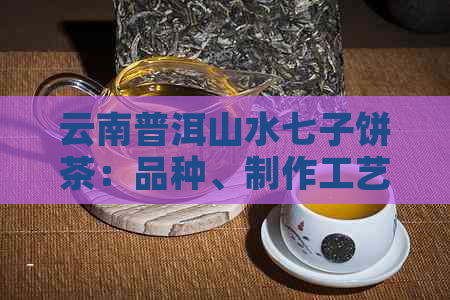 云南普洱山水七子饼茶：品种、制作工艺、口感、功效与选购指南