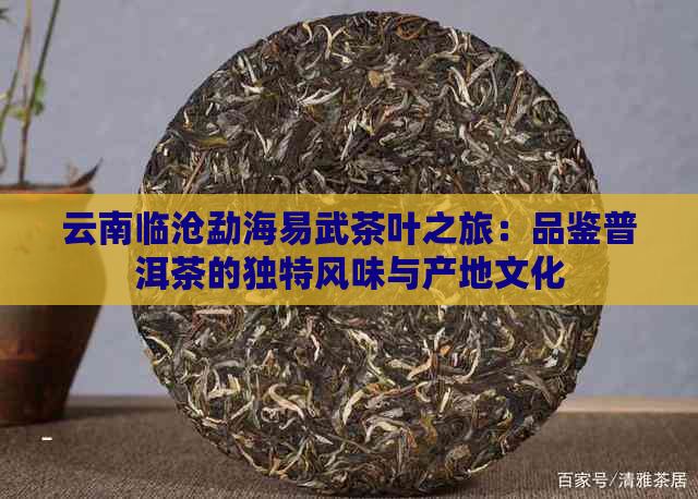 云南临沧勐海易武茶叶之旅：品鉴普洱茶的独特风味与产地文化