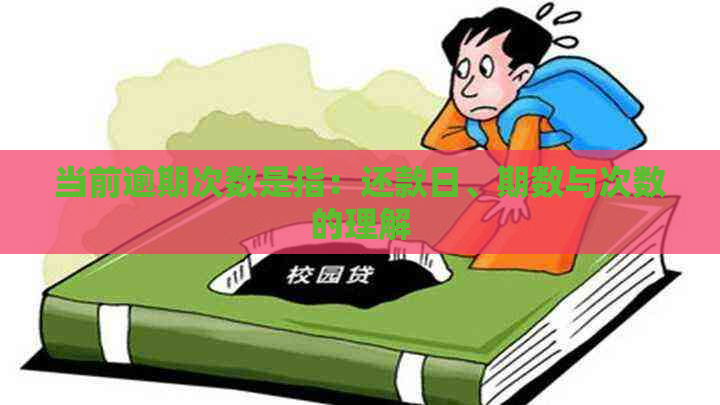 当前逾期次数是指：还款日、期数与次数的理解