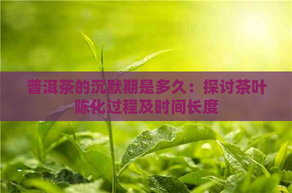 普洱茶的沉默期是多久：探讨茶叶陈化过程及时间长度