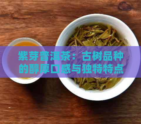 紫芽普洱茶：古树品种的醇厚口感与独特特点