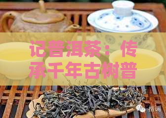 记普洱茶：传承千年古树普洱茶的魅力