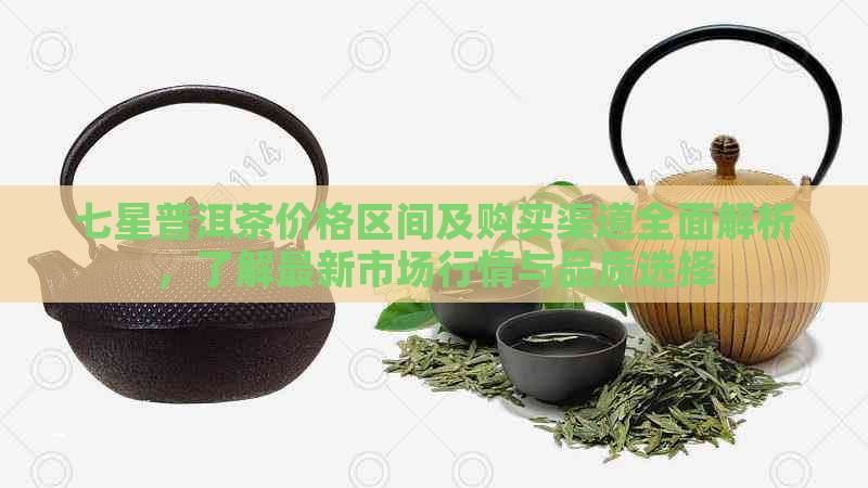 七星普洱茶价格区间及购买渠道全面解析，了解最新市场行情与品质选择