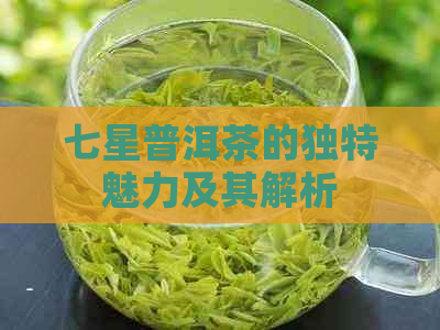 七星普洱茶的独特魅力及其解析