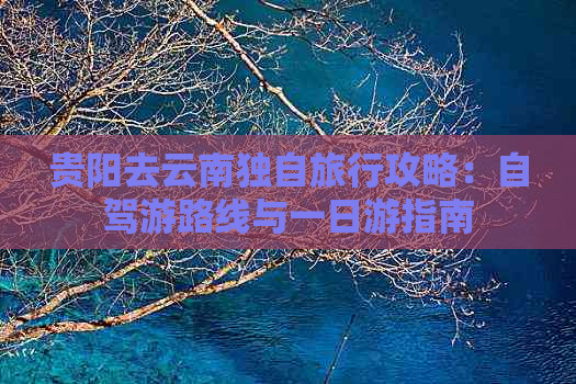 贵阳去云南独自旅行攻略：自驾游路线与一日游指南