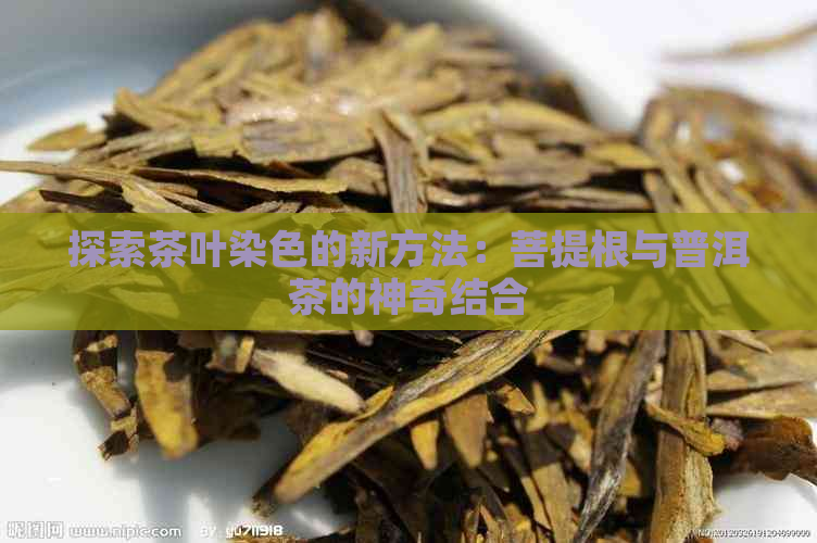 探索茶叶染色的新方法：菩提根与普洱茶的神奇结合