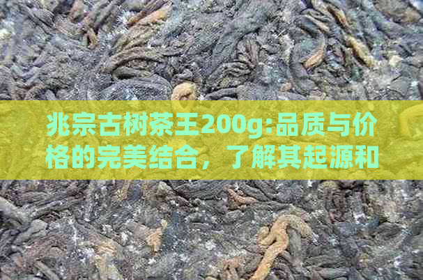 兆宗古树茶王200g:品质与价格的完美结合，了解其起源和特点