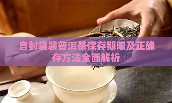 自封袋装普洱茶保存期限及正确存方法全面解析