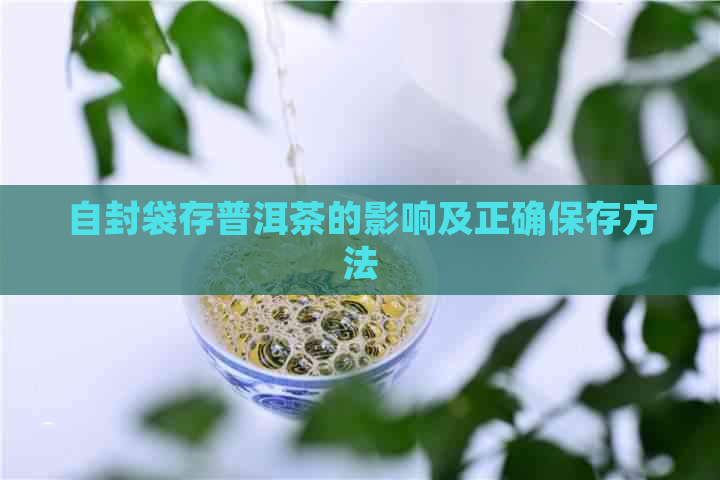 自封袋存普洱茶的影响及正确保存方法