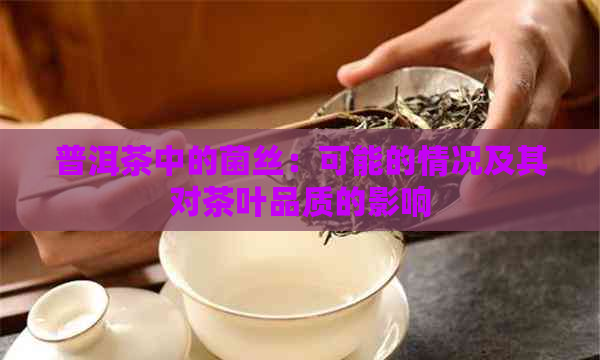 普洱茶中的菌丝：可能的情况及其对茶叶品质的影响