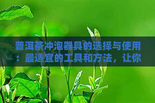 普洱茶冲泡器具的选择与使用：最适宜的工具和方法，让你品尝到完美的普洱茶