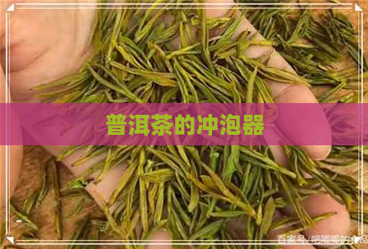 普洱茶的冲泡器