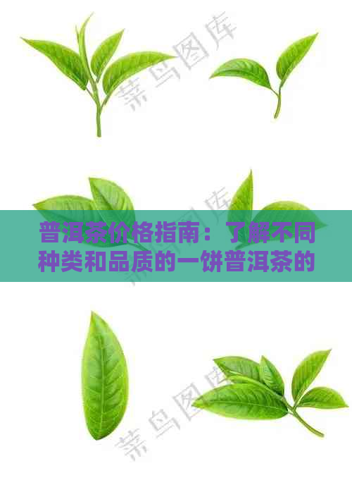 普洱茶价格指南：了解不同种类和品质的一饼普洱茶的价格