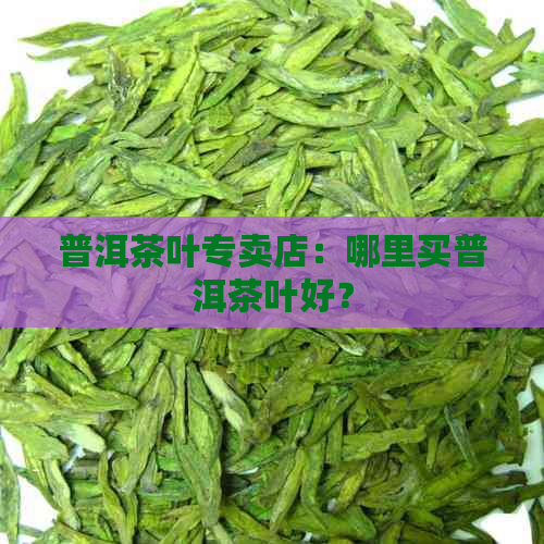 普洱茶叶专卖店：哪里买普洱茶叶好？