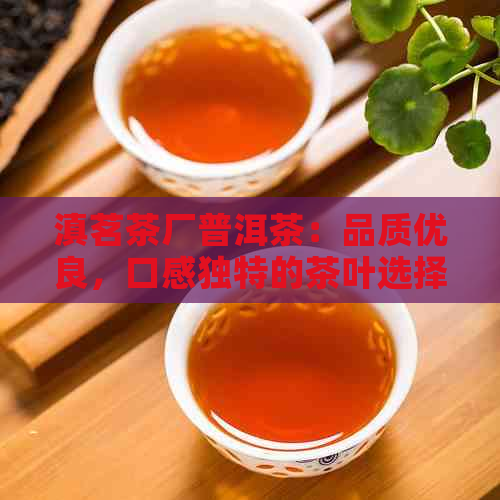 滇茗茶厂普洱茶：品质优良，口感独特的茶叶选择与品鉴指南