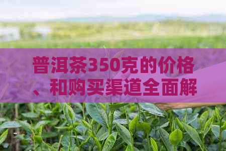 普洱茶350克的价格、和购买渠道全面解析，助您轻松选购优质普洱茶