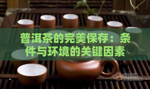 普洱茶的完美保存：条件与环境的关键因素