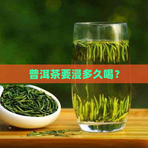 普洱茶要浸多久喝？