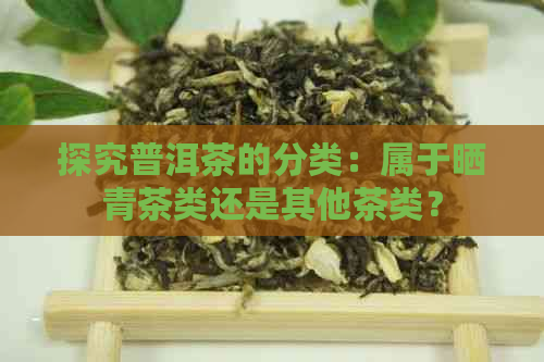 探究普洱茶的分类：属于晒青茶类还是其他茶类？