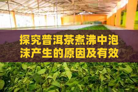 探究普洱茶煮沸中泡沫产生的原因及有效解决方法