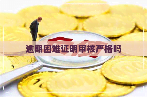 逾期困难证明审核严格吗