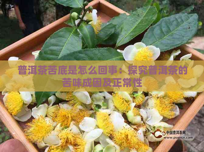 普洱茶苦底是怎么回事：探究普洱茶的苦味成因及正常性