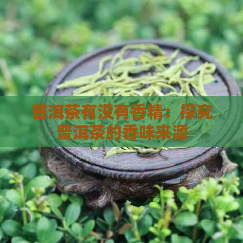 普洱茶有没有香精：探究普洱茶的香味来源