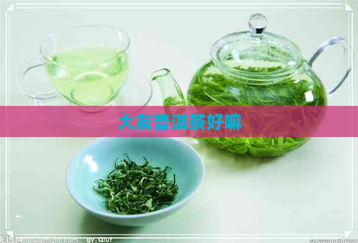 大友普洱茶好嘛