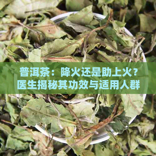 普洱茶：降火还是助上火？医生揭秘其功效与适用人群