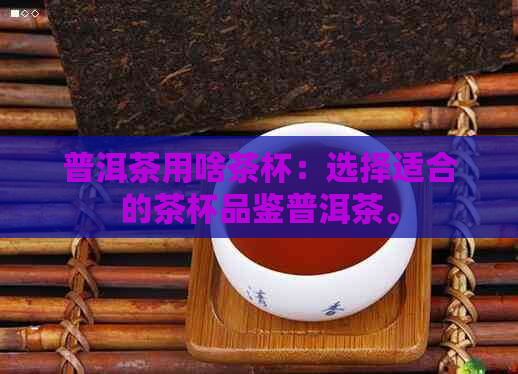 普洱茶用啥茶杯：选择适合的茶杯品鉴普洱茶。