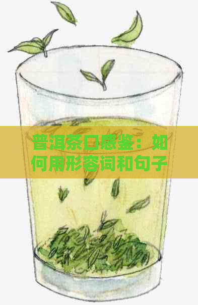 普洱茶口感鉴：如何用形容词和句子描述其独特风味