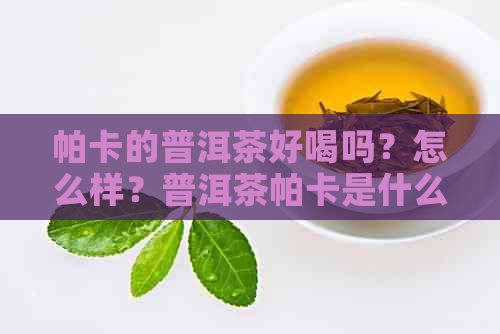 帕卡的普洱茶好喝吗？怎么样？普洱茶帕卡是什么意思？