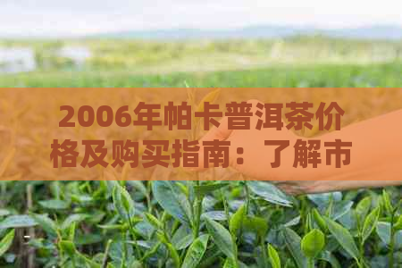 2006年帕卡普洱茶价格及购买指南：了解市场行情与挑选技巧