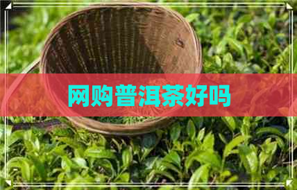 网购普洱茶好吗