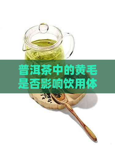 普洱茶中的黄毛是否影响饮用体验？生茶中的黄毛如何辨别与处理？