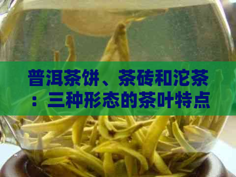 普洱茶饼、茶砖和沱茶：三种形态的茶叶特点与区别解析