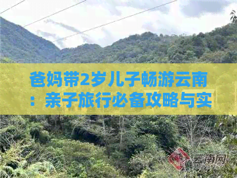 爸妈带2岁儿子畅游云南：亲子旅行必备攻略与实用建议