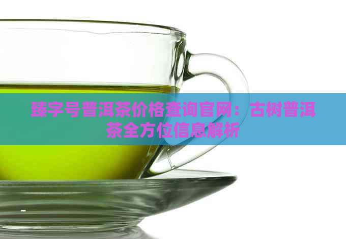 臻字号普洱茶价格查询官网：古树普洱茶全方位信息解析