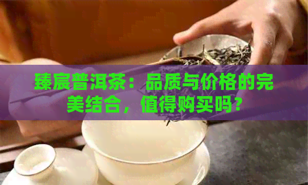 臻宸普洱茶：品质与价格的完美结合，值得购买吗？