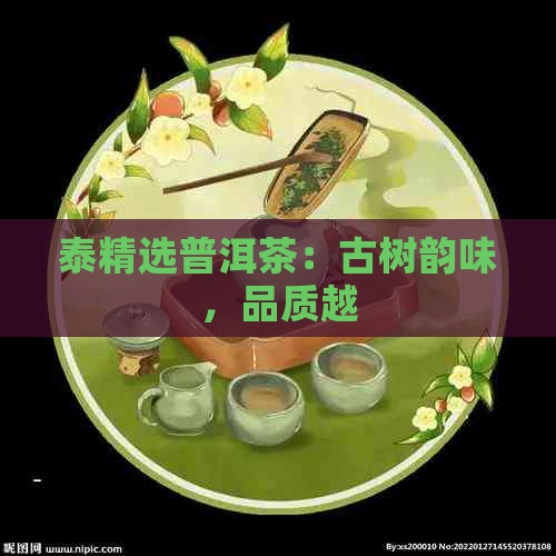 泰精选普洱茶：古树韵味，品质越