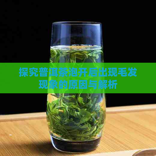 探究普洱茶泡开后出现毛发现象的原因与解析