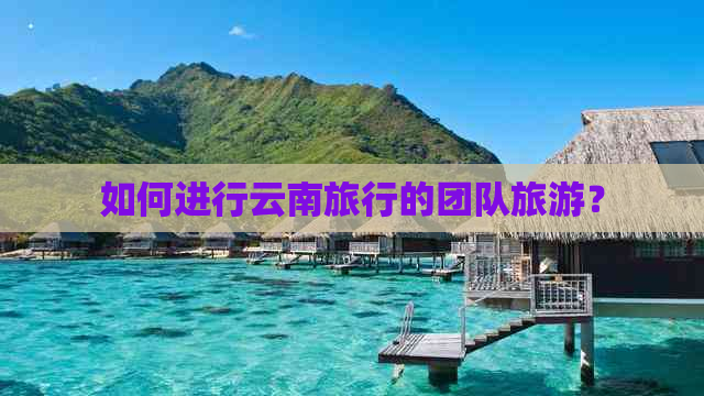 如何进行云南旅行的团队旅游？