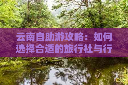 云南自助游攻略：如何选择合适的旅行社与行程规划