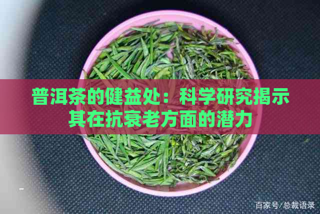 普洱茶的健益处：科学研究揭示其在抗衰老方面的潜力