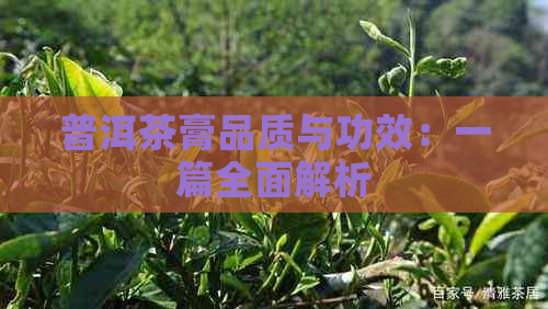 普洱茶膏品质与功效：一篇全面解析